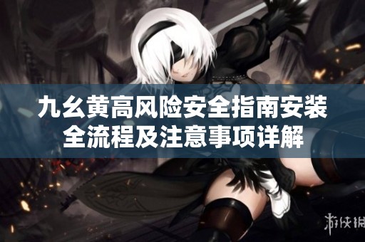 九幺黃高風險安全指南安裝全流程及注意事項詳解