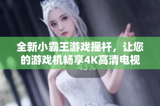 全新小霸王游戲搖桿，讓您的游戲機暢享4K高清電視和投影儀樂趣