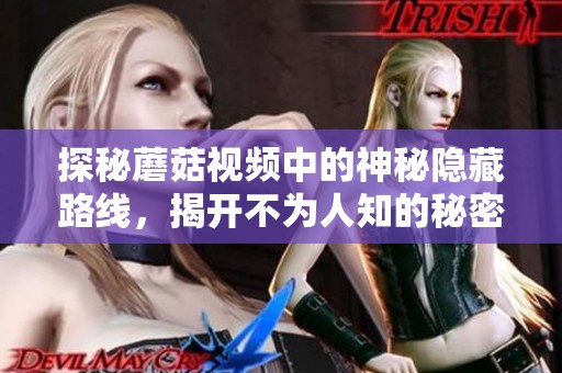 探秘蘑菇視頻中的神秘隱藏路線，揭開不為人知的秘密