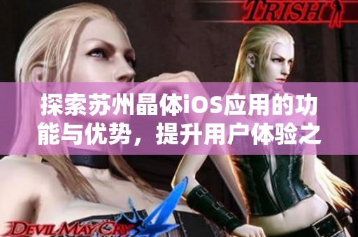 探索蘇州晶體iOS應用的功能與優勢，提升用戶體驗之道