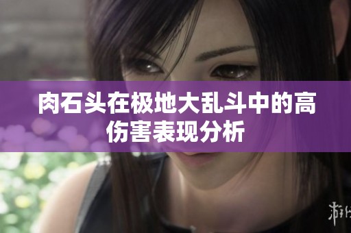 肉石頭在極地大亂斗中的高傷害表現分析