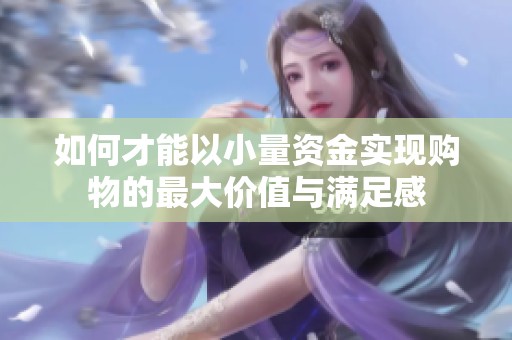 如何才能以小量資金實現(xiàn)購物的最大價值與滿足感