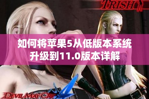 如何將蘋果5從低版本系統升級到11.0版本詳解