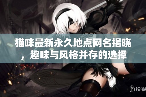 貓咪最新永久地點(diǎn)網(wǎng)名揭曉，趣味與風(fēng)格并存的選擇