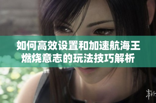 如何高效設(shè)置和加速航海王燃燒意志的玩法技巧解析