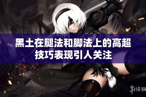 黑土在腿法和腳法上的高超技巧表現引人關注