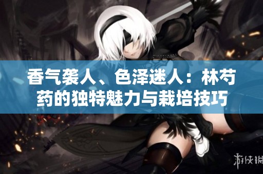 香氣襲人、色澤迷人：林芍藥的獨特魅力與栽培技巧