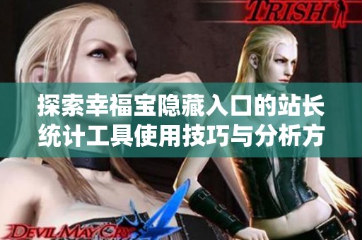 探索幸福寶隱藏入口的站長統計工具使用技巧與分析方法