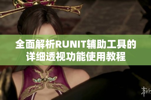 全面解析RUNIT輔助工具的詳細(xì)透視功能使用教程