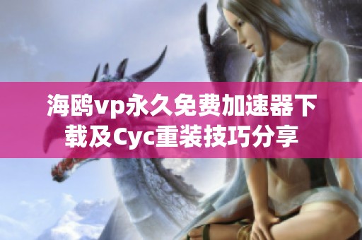 海鷗vp永久免費加速器下載及Cyc重裝技巧分享