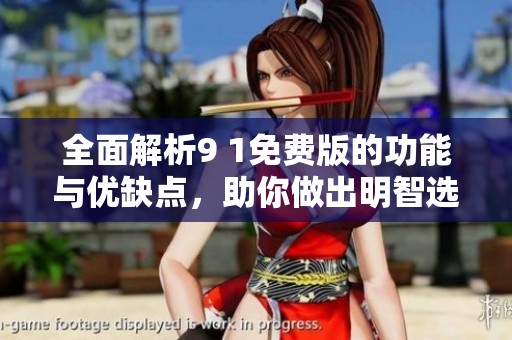 全面解析9 1免費(fèi)版的功能與優(yōu)缺點(diǎn)，助你做出明智選擇