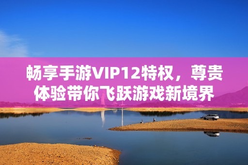 暢享手游VIP12特權(quán)，尊貴體驗帶你飛躍游戲新境界
