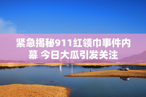 緊急揭秘911紅領巾事件內幕 今日大瓜引發關注
