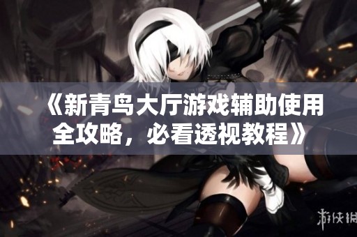 《新青鳥大廳游戲輔助使用全攻略，必看透視教程》