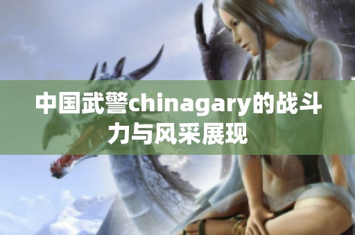 中國武警chinagary的戰(zhàn)斗力與風(fēng)采展現(xiàn)