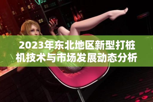 2023年?yáng)|北地區(qū)新型打樁機(jī)技術(shù)與市場(chǎng)發(fā)展動(dòng)態(tài)分析