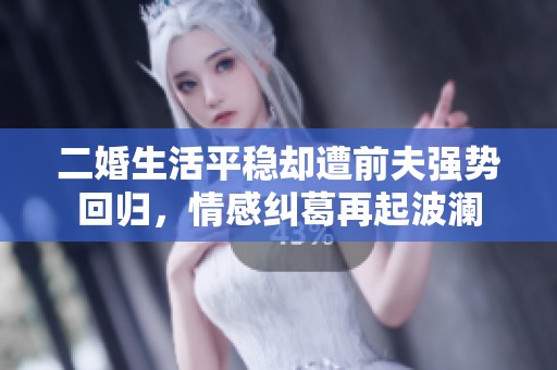 二婚生活平穩(wěn)卻遭前夫強勢回歸，情感糾葛再起波瀾
