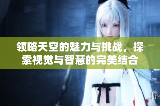 領(lǐng)略天空的魅力與挑戰(zhàn)，探索視覺與智慧的完美結(jié)合