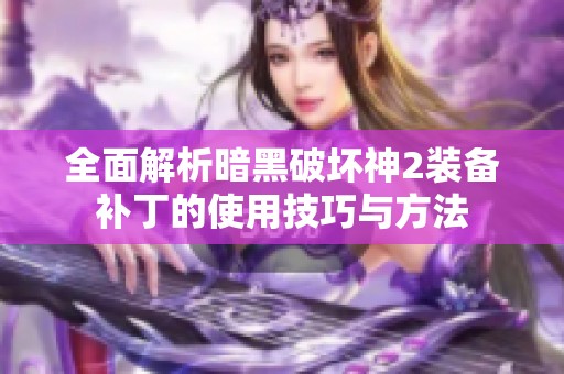全面解析暗黑破壞神2裝備補丁的使用技巧與方法
