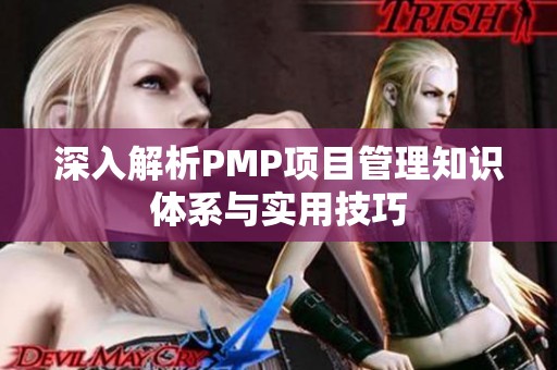 深入解析PMP項目管理知識體系與實用技巧