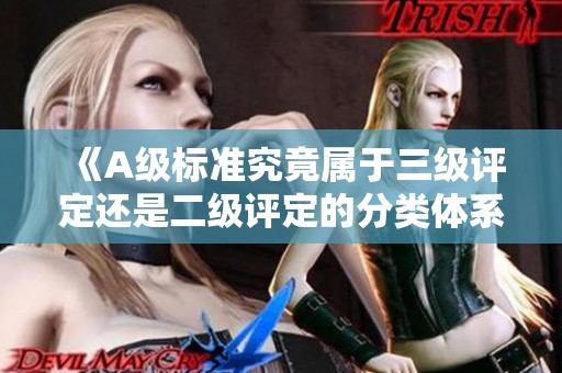 《A級標準究竟屬于三級評定還是二級評定的分類體系》