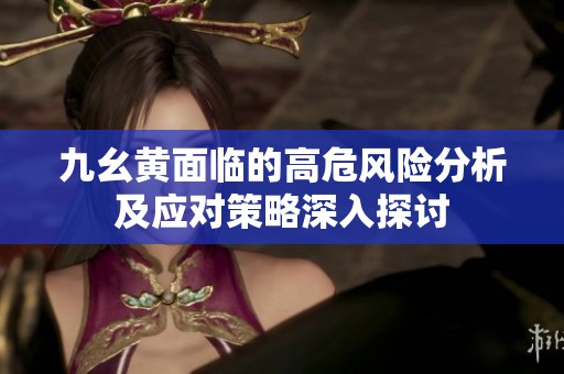 九幺黃面臨的高危風(fēng)險(xiǎn)分析及應(yīng)對策略深入探討