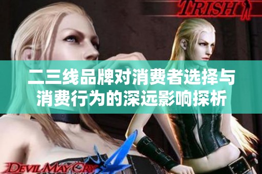 二三線品牌對消費者選擇與消費行為的深遠影響探析