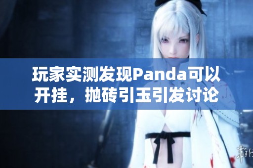 玩家實測發現Panda可以開掛，拋磚引玉引發討論