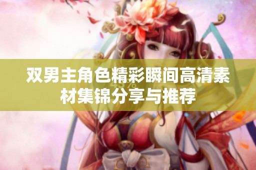 雙男主角色精彩瞬間高清素材集錦分享與推薦