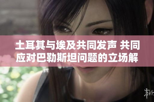 土耳其與埃及共同發(fā)聲 共同應(yīng)對(duì)巴勒斯坦問(wèn)題的立場(chǎng)解析