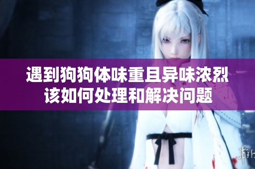 遇到狗狗體味重且異味濃烈該如何處理和解決問(wèn)題