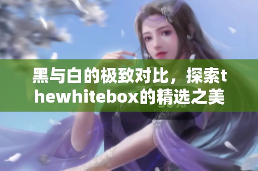 黑與白的極致對(duì)比，探索thewhitebox的精選之美