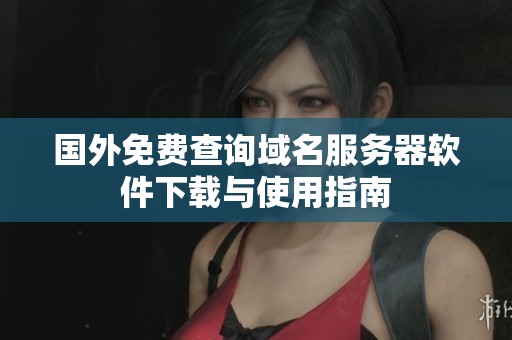 國外免費查詢域名服務器軟件下載與使用指南