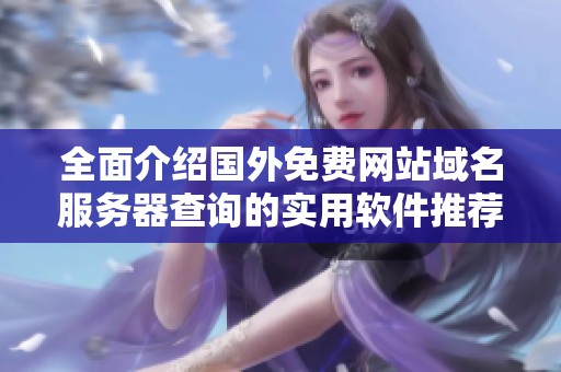 全面介紹國外免費網站域名服務器查詢的實用軟件推薦