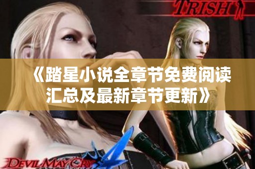 《踏星小說全章節免費閱讀匯總及最新章節更新》