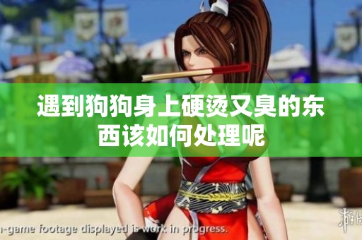 遇到狗狗身上硬燙又臭的東西該如何處理呢