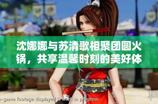 沈娜娜與蘇清歌相聚團圓火鍋，共享溫馨時刻的美好體驗