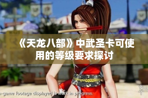 《天龍八部》中武圣卡可使用的等級要求探討