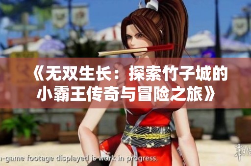 《無雙生長：探索竹子城的小霸王傳奇與冒險之旅》