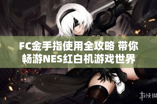 FC金手指使用全攻略 帶你暢游NES紅白機(jī)游戲世界
