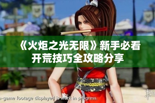 《火炬之光無限》新手必看開荒技巧全攻略分享