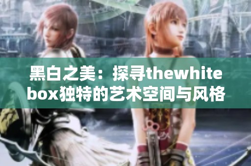 黑白之美：探尋thewhitebox獨特的藝術(shù)空間與風(fēng)格