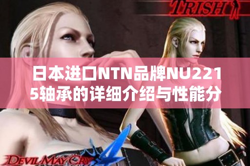 日本進口NTN品牌NU2215軸承的詳細介紹與性能分析
