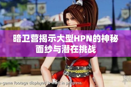 暗衛營揭示大型HPN的神秘面紗與潛在挑戰