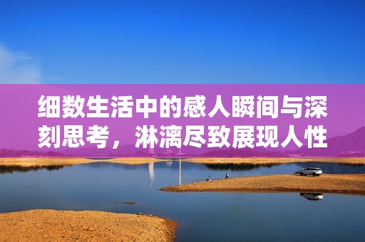 細(xì)數(shù)生活中的感人瞬間與深刻思考，淋漓盡致展現(xiàn)人性之美
