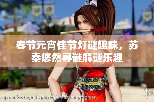 春節元宵佳節燈謎趣味，蘇秦悠然尋謎解謎樂趣