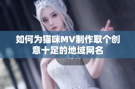 如何為貓咪MV制作取個創意十足的地域網名