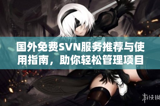 國(guó)外免費(fèi)SVN服務(wù)推薦與使用指南，助你輕松管理項(xiàng)目版本
