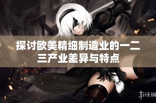 探討歐美精細制造業(yè)的一二三產(chǎn)業(yè)差異與特點