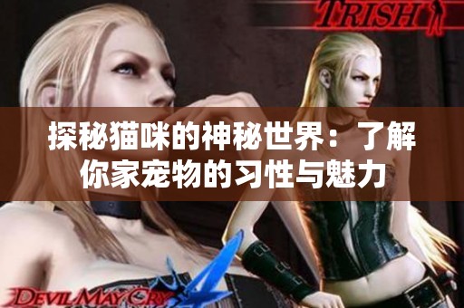 探秘貓咪的神秘世界：了解你家寵物的習性與魅力